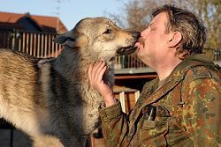 Dieter bekommt von Junghund Alenka ein Küsschen